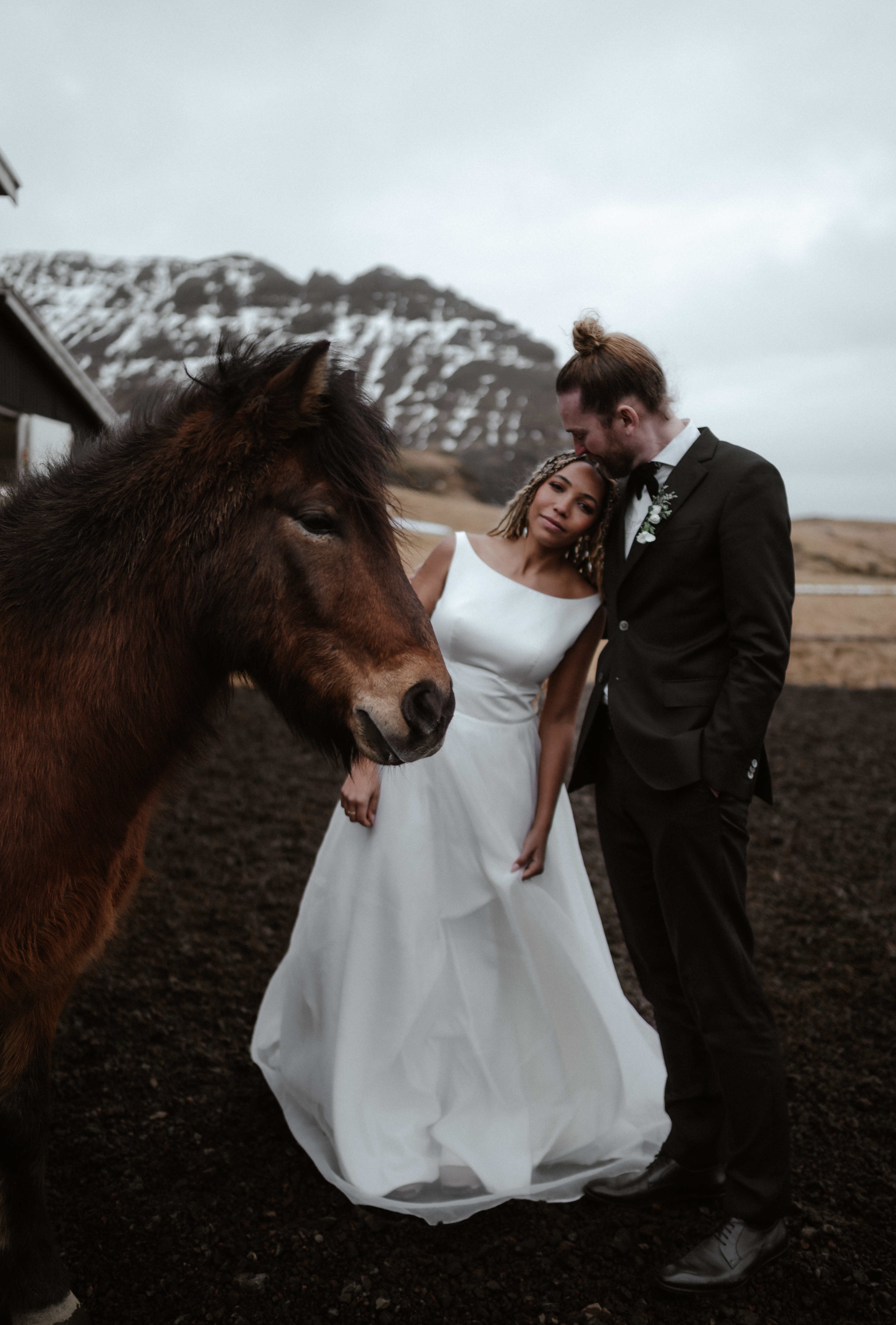 A newly married couple beside an Icelandic horse
